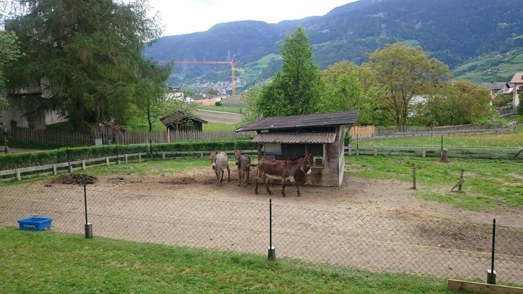Apartament Dillerhof Lajen Zewnętrze zdjęcie
